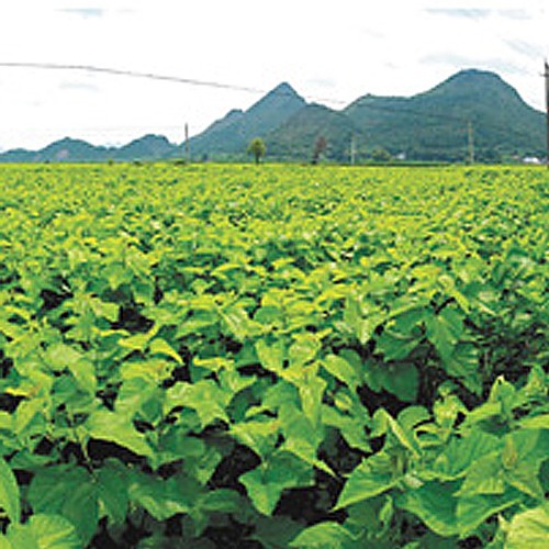 1491905981709034.jpg 第三篇首页图.jpg