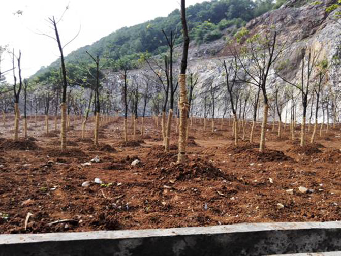 1494297885537251.jpg 2.jpg