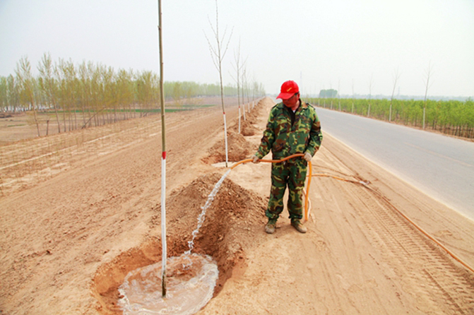 1495504924169071.jpg 2.jpg