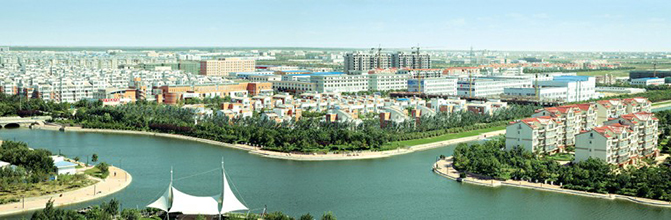 1495505000809212.jpg 1.jpg