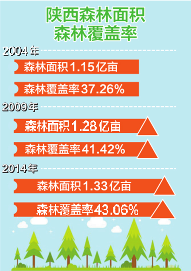 1495508443119266.jpg 9.jpg