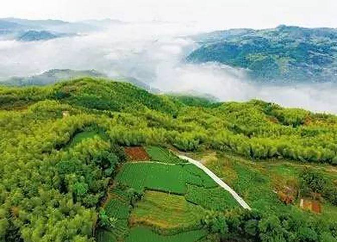 1497257011120764.jpg 2017-5-27-e75a86787ebb4deaa2b037d2aebe60c2.jpg