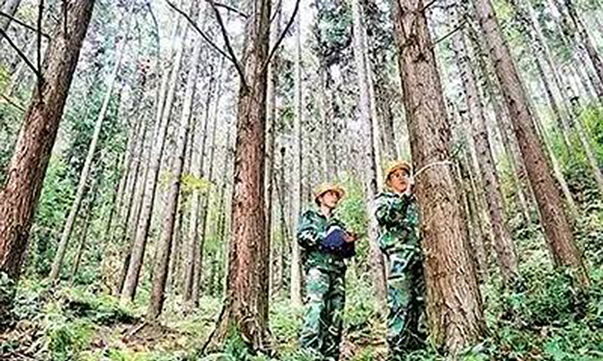 1497257049520727.jpg 2017-5-27-b39c951d875e49ca849dd32a1e63ddfd.jpg