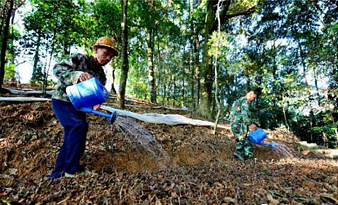 1497257118134672.jpg 2.jpg