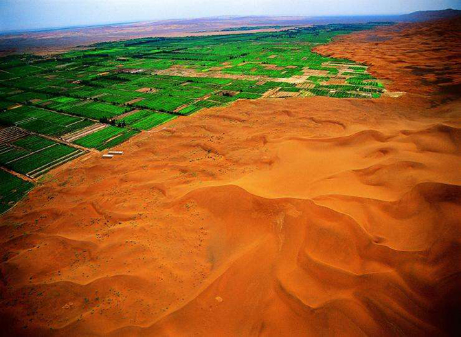 1497257351903409.jpg 7.jpg