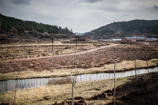 1497257522100079.jpg 2017-5-27-be3f8c5554bd46b0b3b52185619b236b.jpg