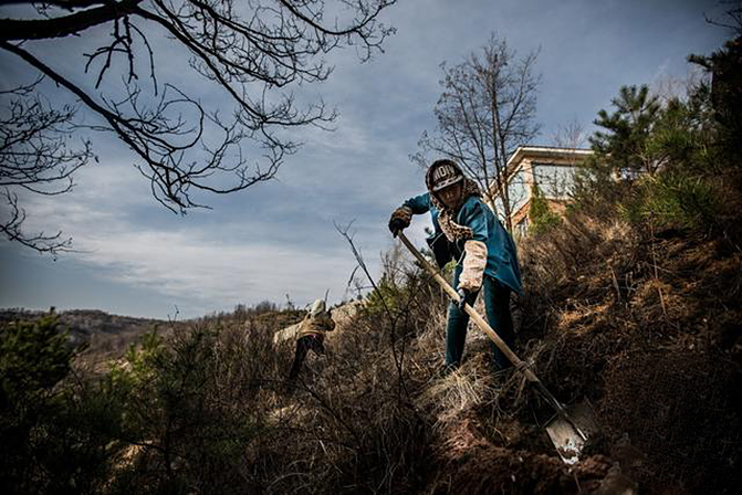 1497257710254317.jpg 2017-5-27-153fa92820af4c81bb7f38d620992f2c.jpg