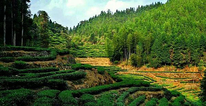 1497862753852072.jpg 1.jpg