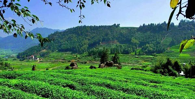 1497862813101262.jpg 2.jpg