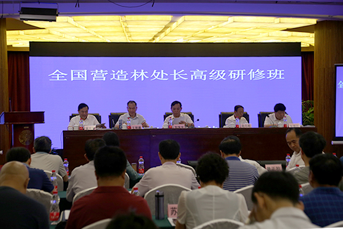 1498536377240762.jpg 1.JPG