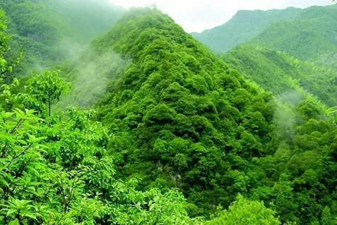 1498538892194073.jpg 微信图片_20170613134734.jpg