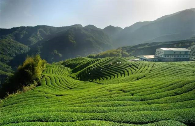 1498539350112355.jpg 640.jpg