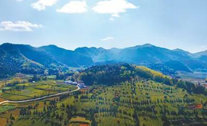 1498539438832751.jpg 640 (1).jpg