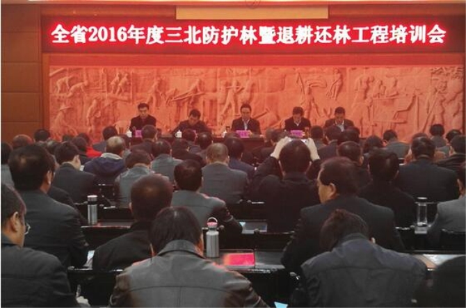 1500455880594010.jpg 1.jpg