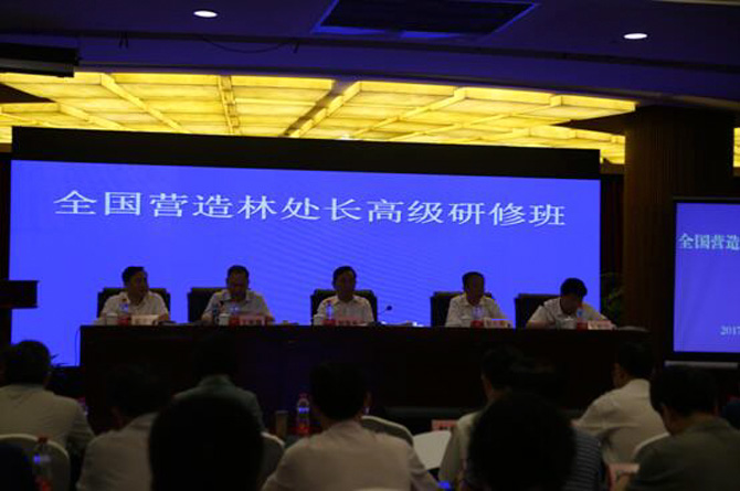 1500457037119994.jpg 2017-6-28-3d98329d45e54ef49d409e10d1b4d10e.jpg