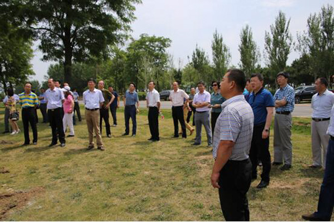 1500457238111512.jpg 2017-6-28-8aee55383da6409c8b7b8e7d41920725.jpg