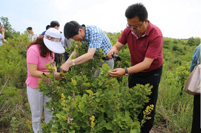 1500457307312152.jpg 2017-6-28-04dbd94eb5ad43eca447df00fbdd133a.jpg