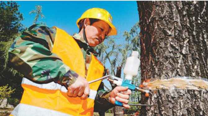 1500517407355227.png 飞絮e.png