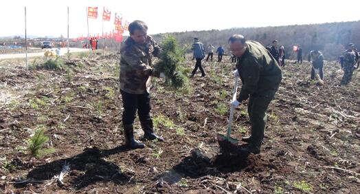 1500518336110677.jpg 2017-4-28-a816cc5614724937b1cb9a8488cf8874.jpg