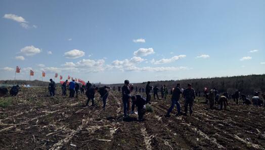 1500518350136914.jpg 2017-4-28-a031f49f5f84477ba63dcfb4da433dfc.jpg