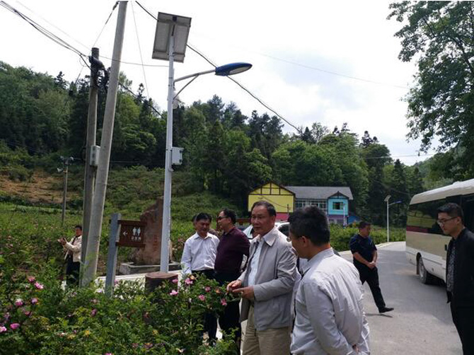 1500527611880129.jpg 2017-5-18-7a02c11a077043f8a5f650ad47c42333.jpg