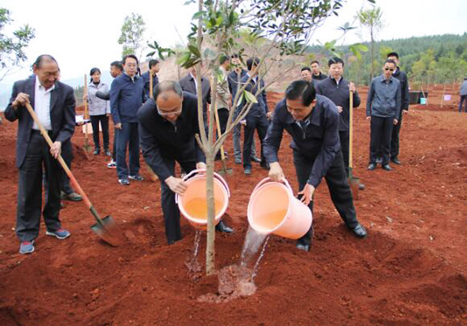 1500527889743072.jpg 2017-5-17-29f855a3bd7d45d581a65bfc96d0bf82.jpg