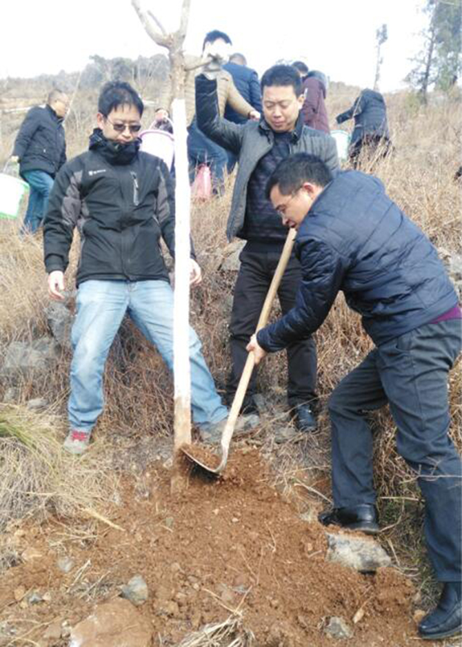 1500613673182196.jpg 2017-2-13-1214d52e101e41d481a5f76ee8ae2668.jpg