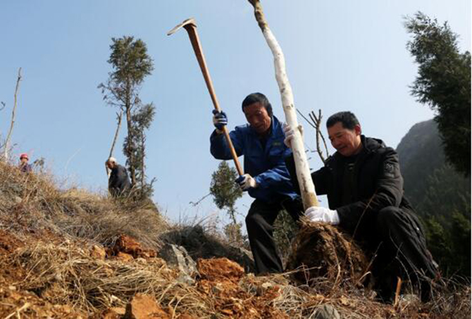 1500613709712262.jpg 2017-2-13-fddc05efb6074909be7e3d9fd5c0f3c6.jpg