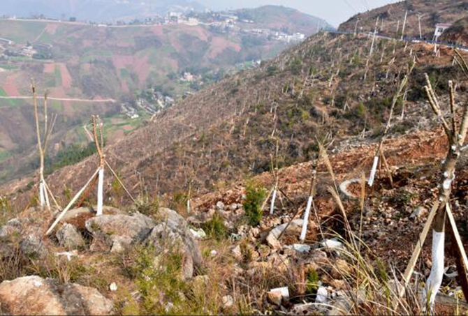 1500613725105066.jpg 2017-2-13-95ddef76780e42f6bf137c44f6d3417a.jpg