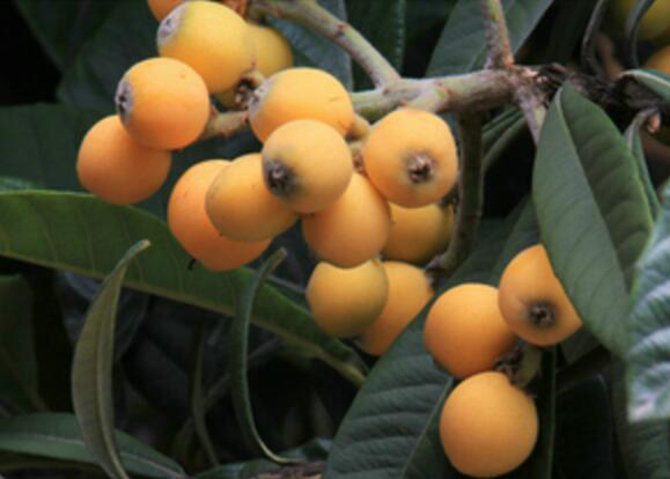 1500616190845703.jpg 2017-1-17-98bd7d6a66e2458bb4f6456c8da109a0.jpg