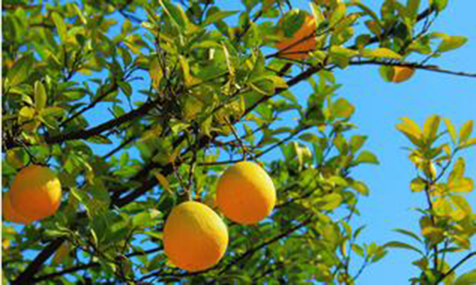 1500617973138213.jpg 2017-1-10-ce3496ef12a14380bf26507269d077bd.jpg