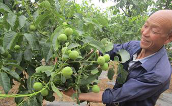 1500618113107725.jpg 2017-1-10-b46d8aa693d5482b9da98679921d72eb.jpg