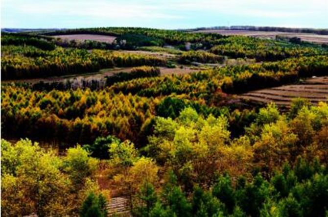 1500618322394687.jpg 2017-1-5-984218bcf3404f6ab53f11a3f662749f.jpg