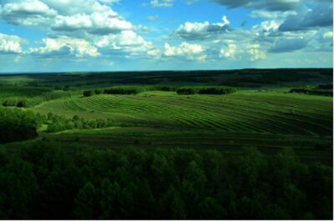 1500618352137873.jpg 2017-1-5-d07147d57d394c63b7007cec6bbdb1c2.jpg