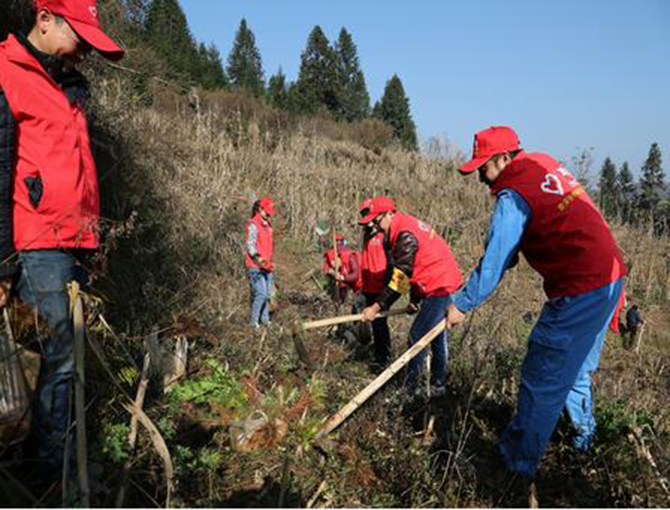 1500620167552657.jpg 2016-12-13-fe91f0e577a040ff9ae7c941bd0daeb9.jpg