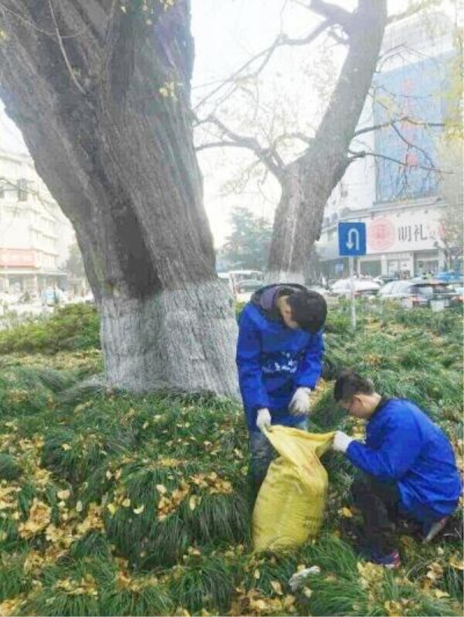 1500620187768203.jpg 收拾树叶4dbed.jpg