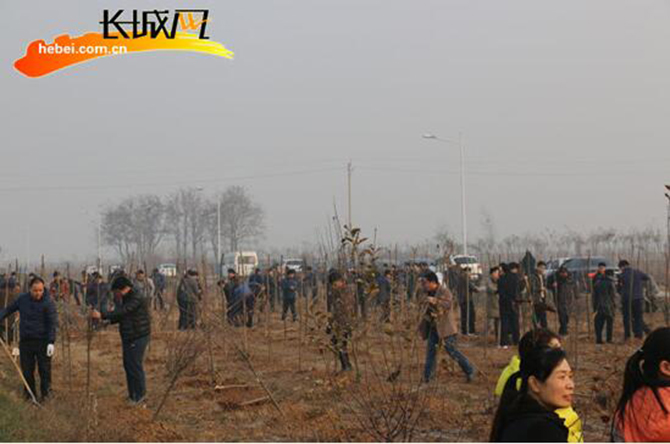 1500622149111047.jpg 2016-12-5-f57b170862f9484b90b4b3c99d25aaa9.jpg