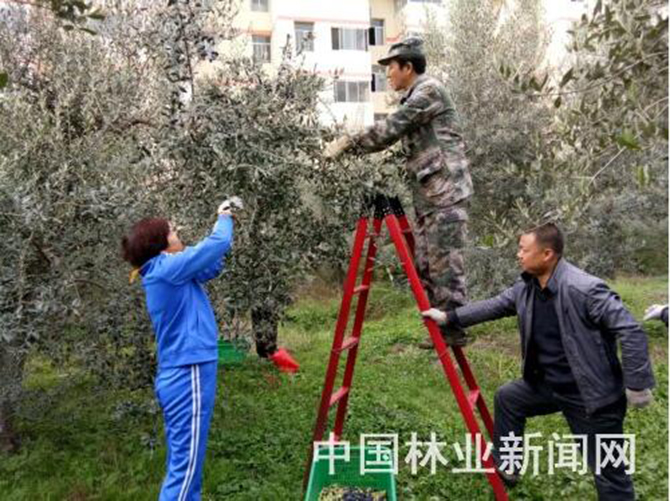 1500622691997993.jpg 2016-11-29-aa7cc486d403420bb98c8bf948178a93.jpg