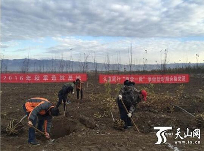 1500624352396365.jpg 2016-11-3-441243f6833e4f058a9ec416ec010ec3_副本.jpg