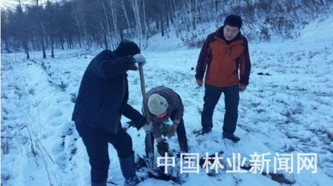 1500624515635019.png 2016-11-1-e328be52beea40909b30b12223f9a9b6_副本.png