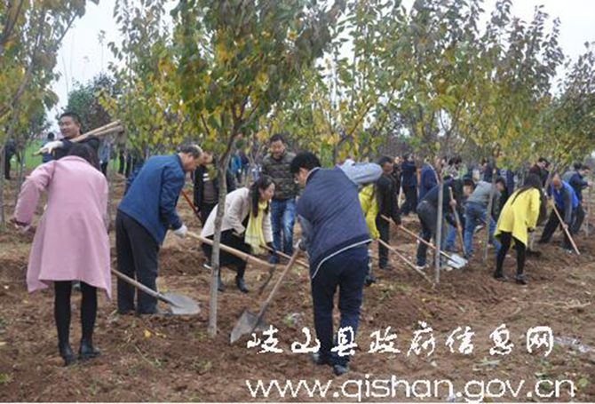 1500626694827070.jpg 2016-11-9-df4ad9eee0d34b5f936697ce513e3a94.jpg