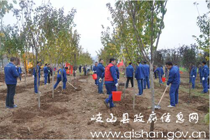 1500626709125256.jpg 2016-11-9-6d2da5e3a6db4115ab743911220b3f66.jpg