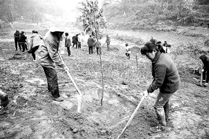 1500627000128157.jpg 2016-11-8-41e22b8a71d6446aa3328f90baa81c5d.jpg