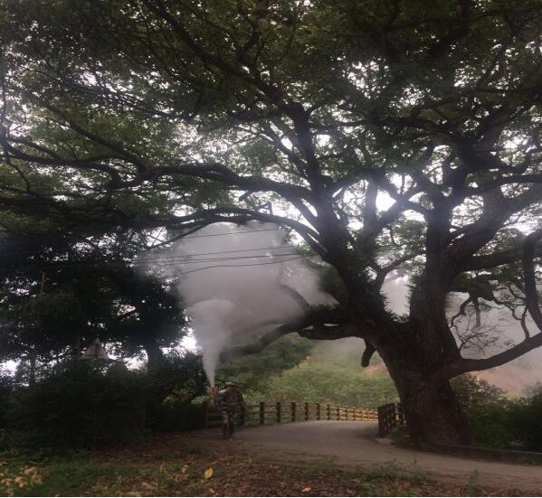 1500860060133514.jpg 2016-10-22-33256df7ca054eaebd56e1e4bcc3adb7.jpg