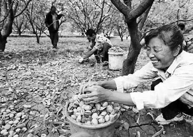 1500881734784469.jpg 2016-8-18-2ef85340c09a4c3fa0229539db521bb0.jpg