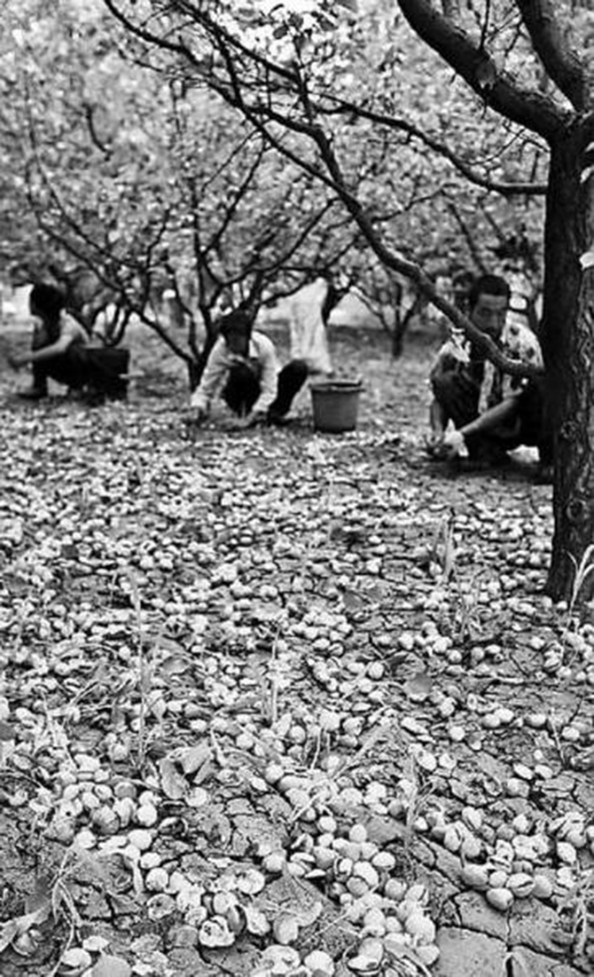 1500881743554378.jpg 2016-8-18-9162f398462c43548f0f521b45a3310d.jpg