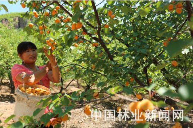 1500883686109180.jpg 2016-7-28-5475d70b6476421e86337fad2648c3fb.jpg