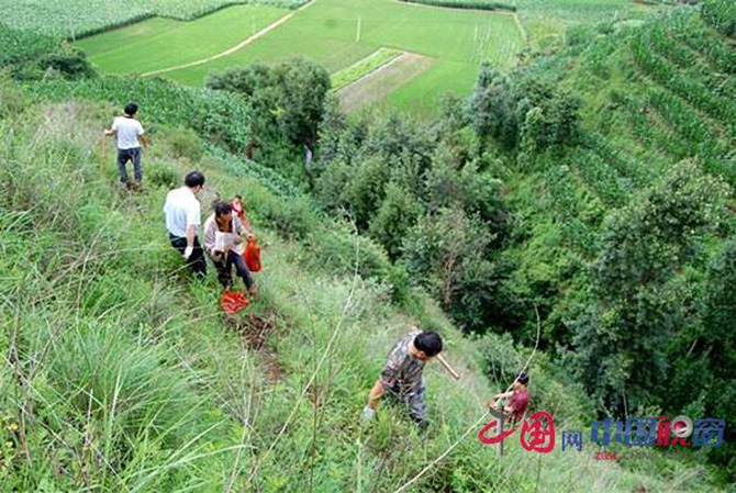 1500885890341242.jpg 2016-6-27-8ec470fe7cab42d3a37e19757f53dca8.jpg