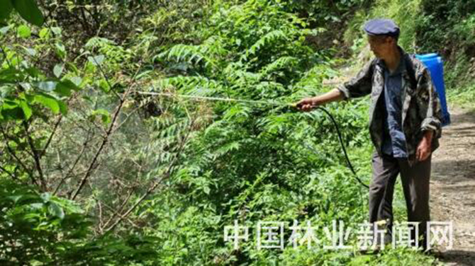 1500887540249024.jpg 2016-6-15-7db90d116f1943fd9e80999a49244301.jpg