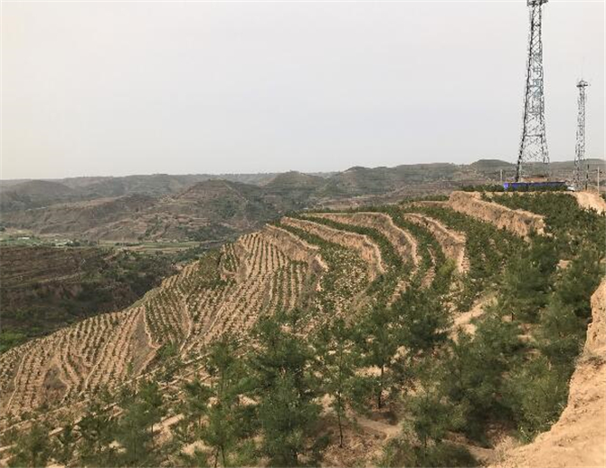 1501036823330742.jpg 镇原县9.jpg